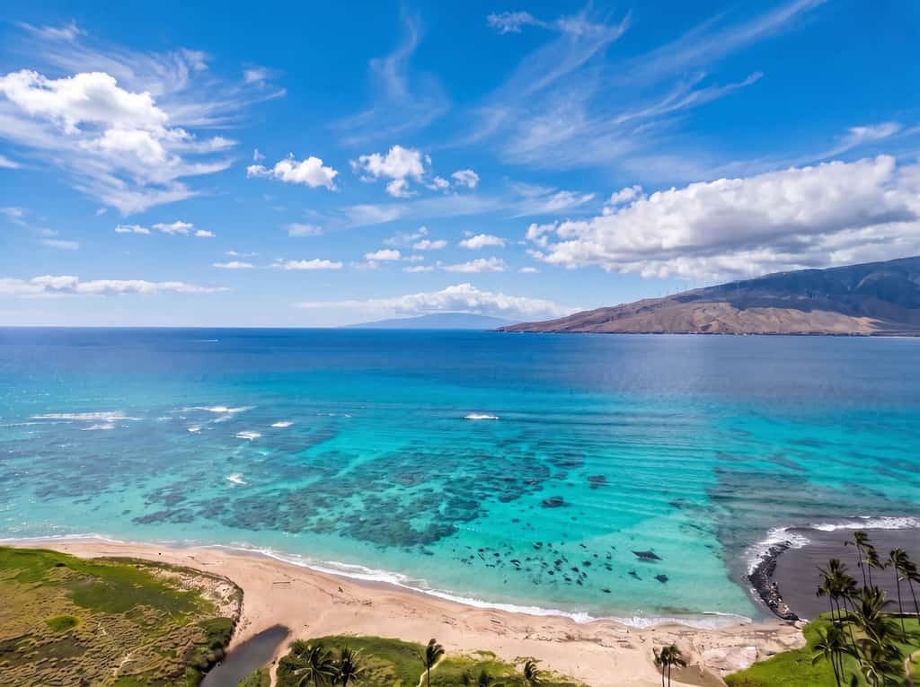 First-floor condo w/ garden view lanai, pool, hot tub, tennis courts and close to the ocean!