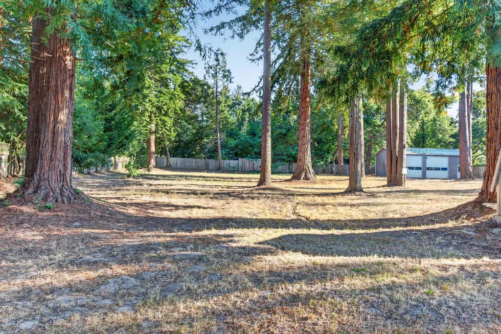 The Gravenstein - Sebastopol Orchard Retreat with Hot Tub
