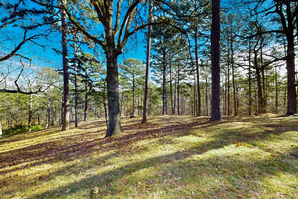 Spacious home with fireplace, washer/dryer, AC & yard with firepit