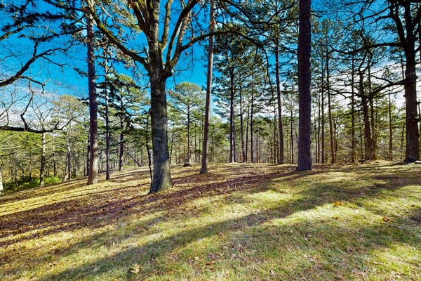 Spacious home with fireplace, washer/dryer, AC & yard with firepit
