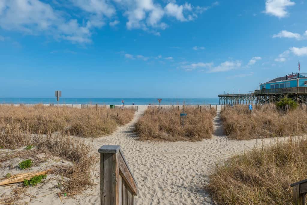 Circus-Themed Oceanfront Condo! Yachtsman 1001