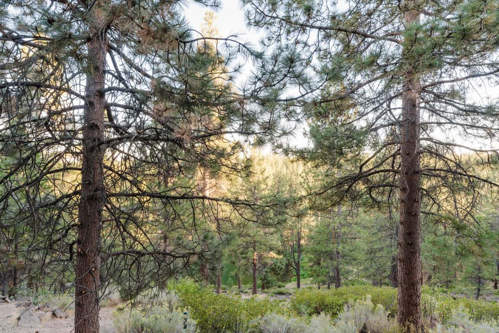 Bend Adventure Starts Here - Near Mt Bachelor