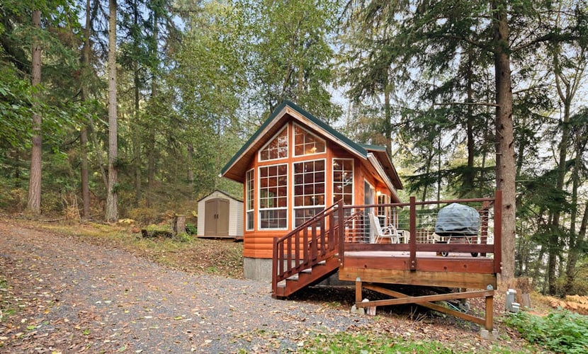 Racoon Retreat