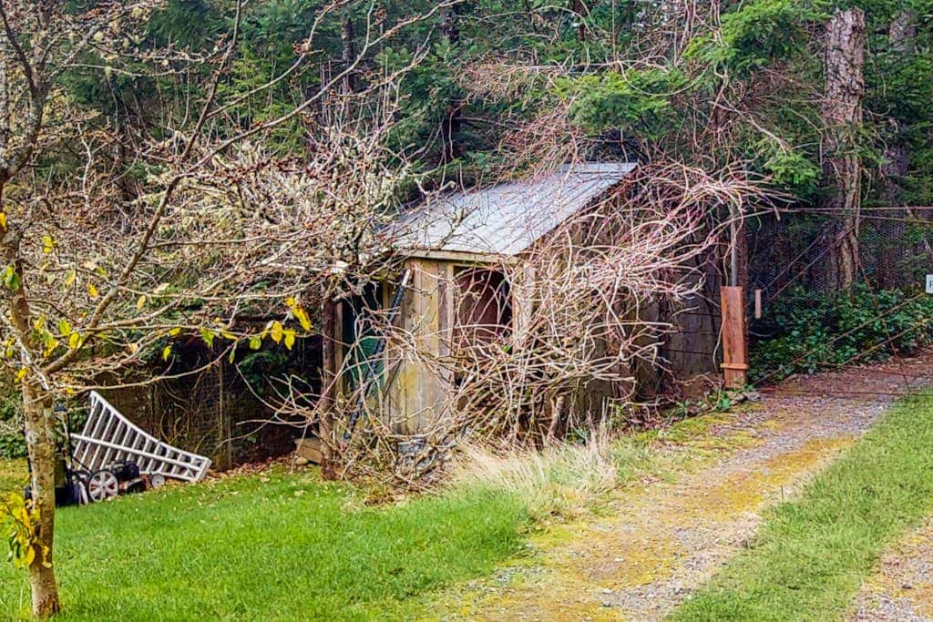 Dog Friendly Studio with Kitchenette, WiFi, Yard and Fire Pit near Eastsound Beach