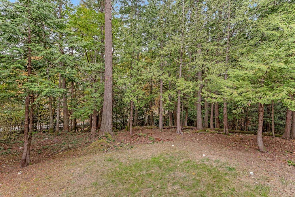 Pet Friendly Forest Retreat with Modern Amenities and Fast WiFi in Eastsound
