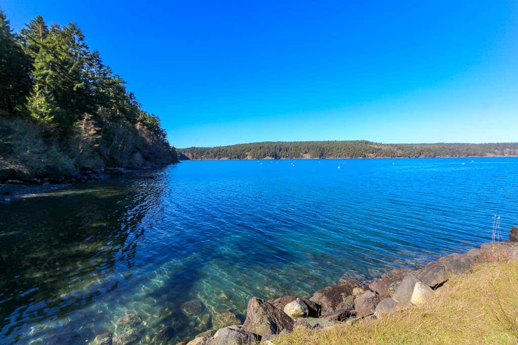 3 BR Pet Friendly Waterfront Home on Lopez Island