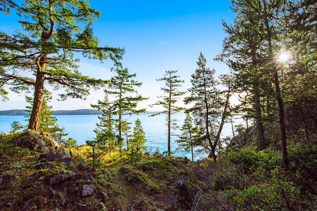 Rustic Waterfront Cabin in Eastsound with Private Beach Access and Ocean Views