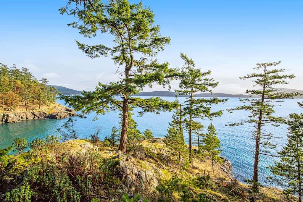 Rustic Waterfront Cabin in Eastsound with Private Beach Access and Ocean Views