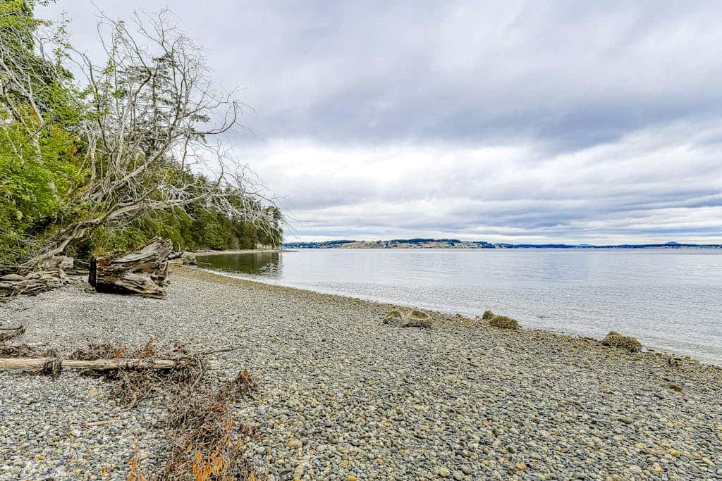 Secluded Dog Friendly Studio with Hot Tub and Beach Access in Coupeville