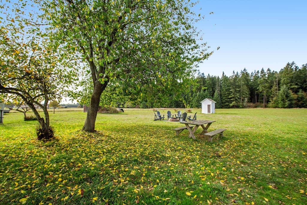Scenic Mountain View Retreat with Fireplace and Pet Friendly Garden in Coupeville