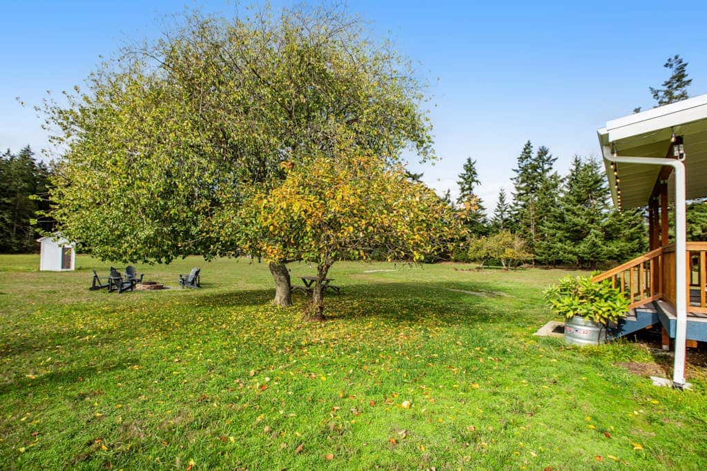 Scenic Mountain View Retreat with Fireplace and Pet Friendly Garden in Coupeville