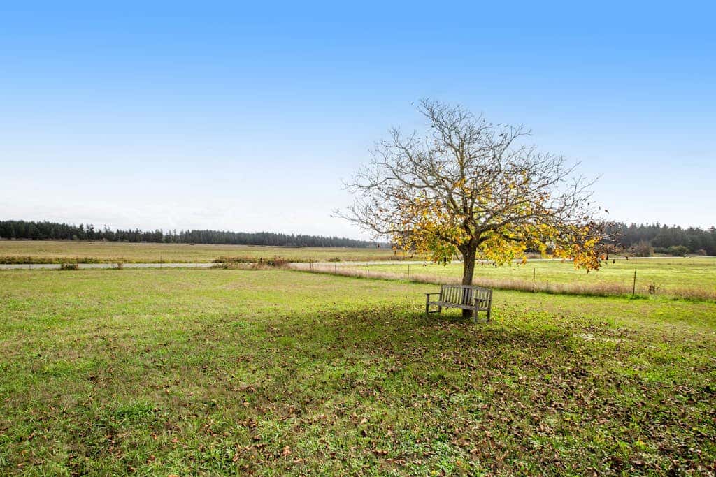 Scenic Mountain View Retreat with Fireplace and Pet Friendly Garden in Coupeville