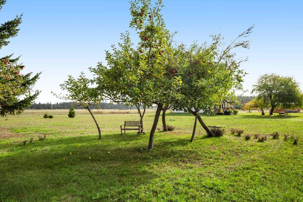 Scenic Mountain View Retreat with Fireplace and Pet Friendly Garden in Coupeville