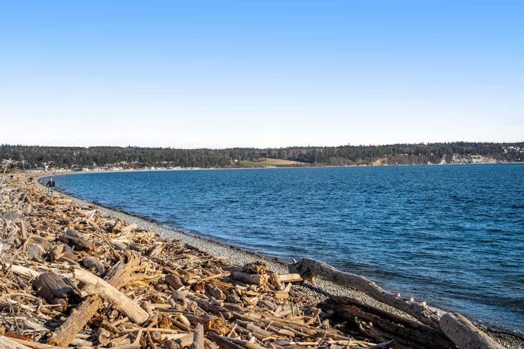 Scenic Mountain View Retreat with Fireplace and Pet Friendly Garden in Coupeville