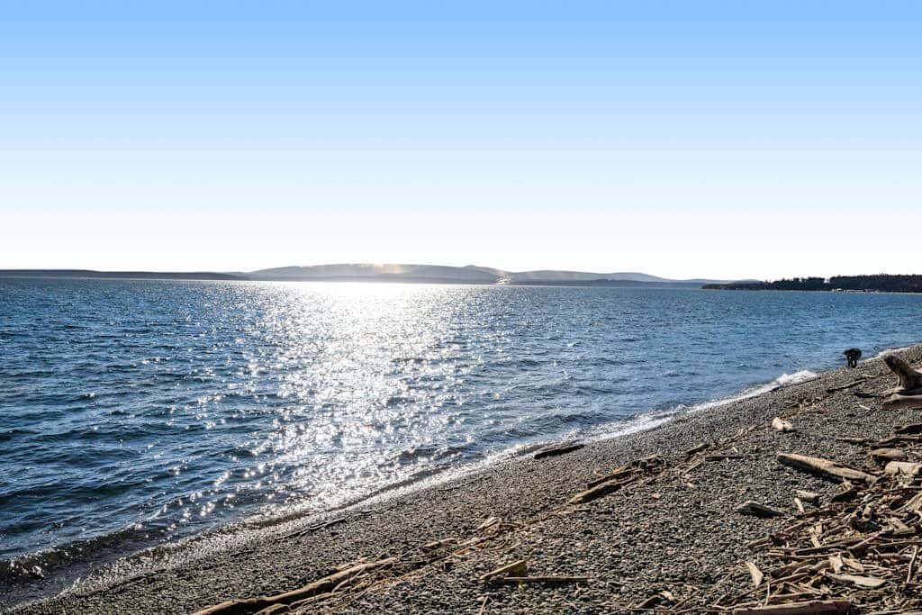 Scenic Mountain View Retreat with Fireplace and Pet Friendly Garden in Coupeville