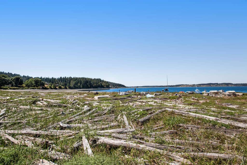 Stunning Ocean View Cabin in Coupeville with Private Beach Access