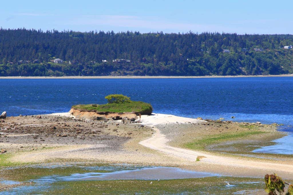 Waterfront Cottage with High-Speed WiFi, Ocean View, Private Deck, & Kitchenette 