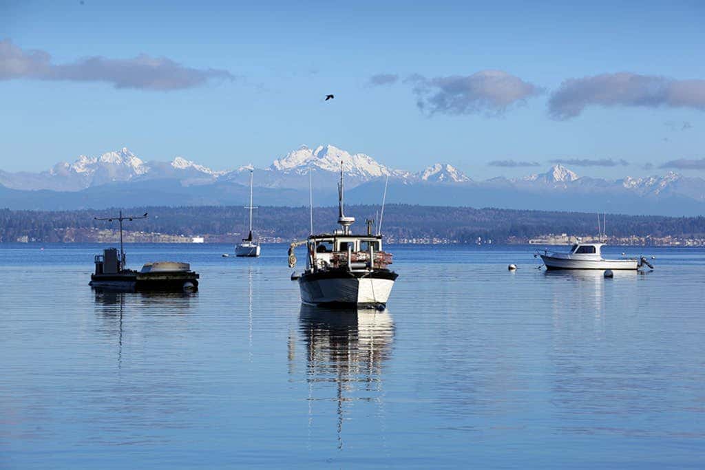 Waterfront Cottage with High-Speed WiFi, Ocean View, Private Deck, & Kitchenette 