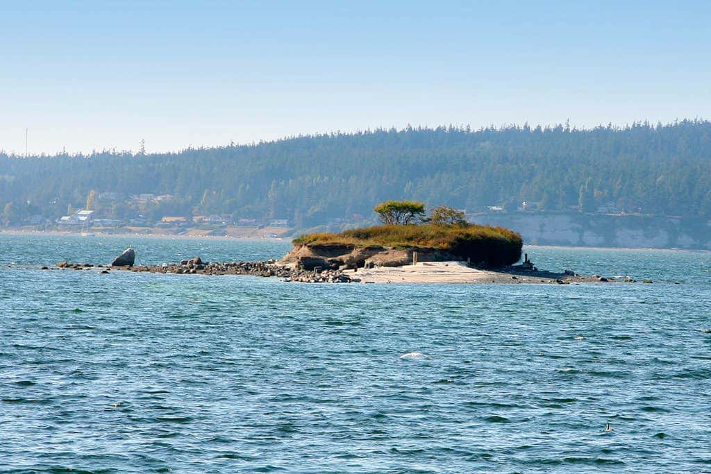 Waterfront Cottage with High-Speed WiFi, Ocean View, Private Deck, & Kitchenette 