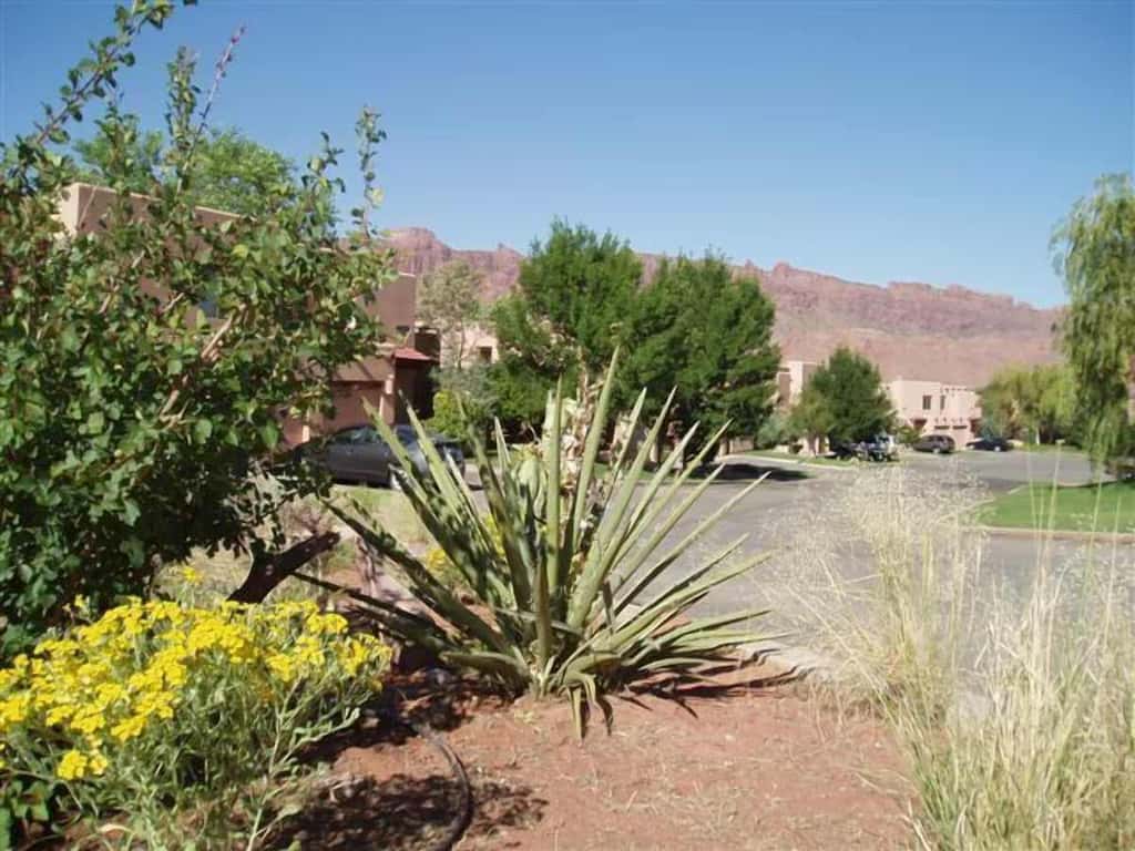 Cozy, Family-Friendly Townhouse with Free WiFi & a Seasonal Shared Pool & Spa