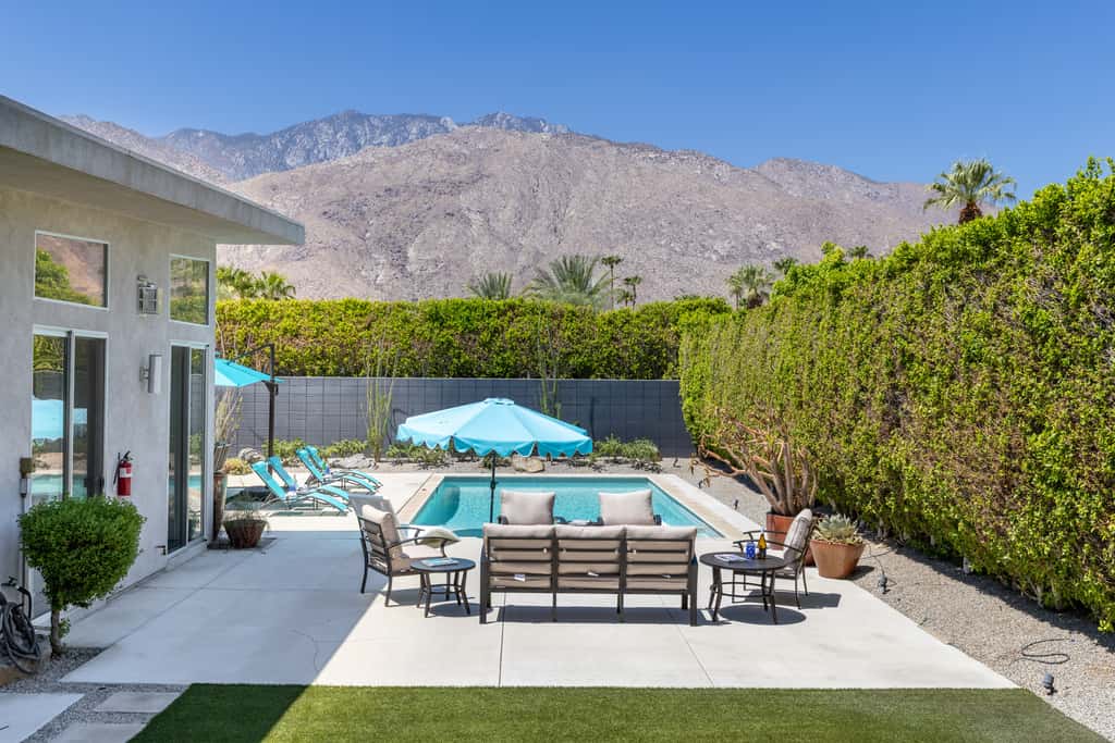 Flamingo Oasis