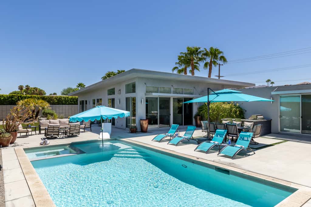 Flamingo Oasis