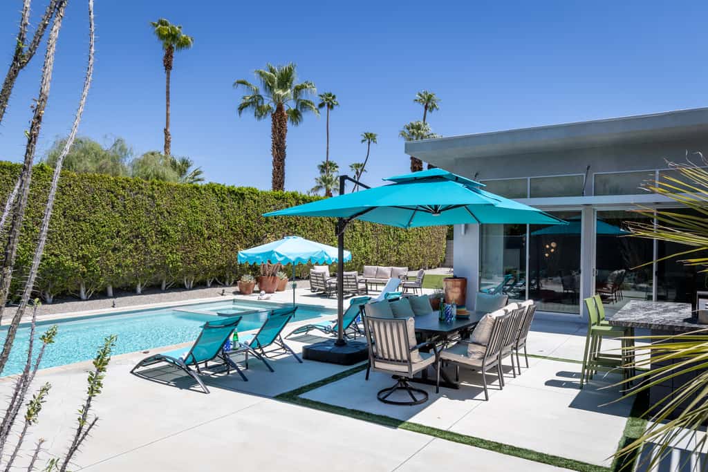 Flamingo Oasis