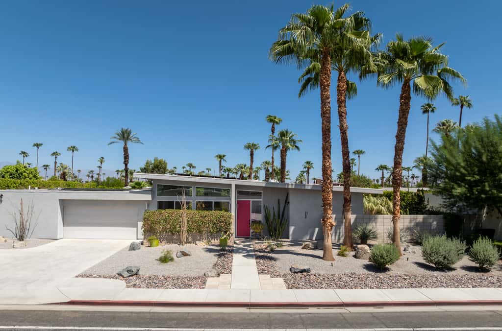 Flamingo Oasis