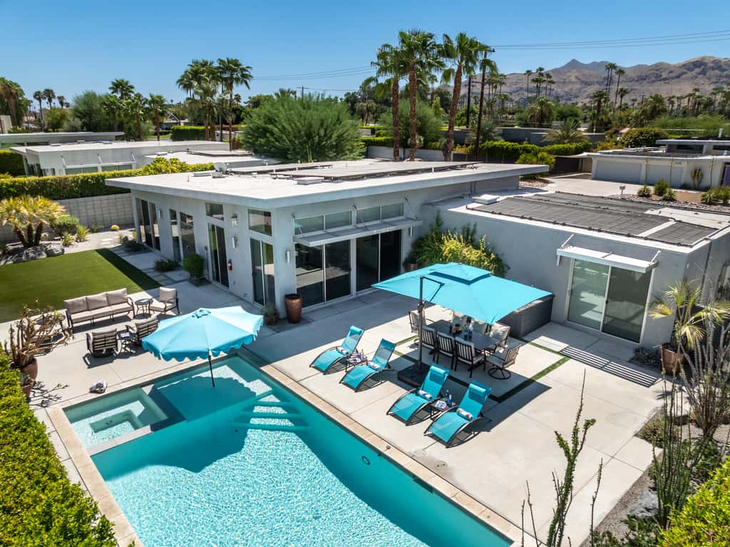 Flamingo Oasis