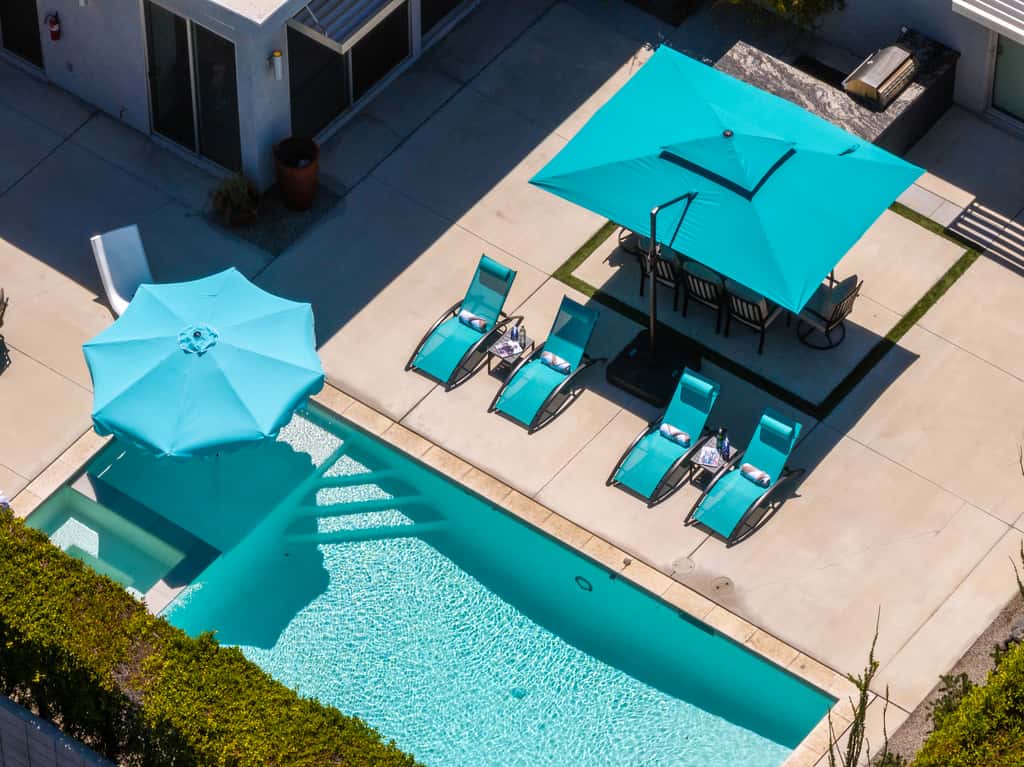 Flamingo Oasis
