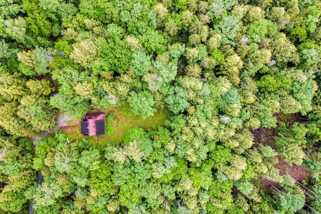 Lost Pond Cabin
