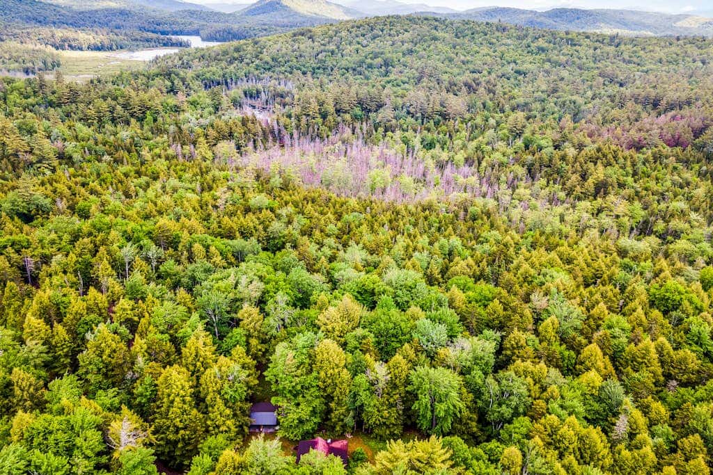 Lost Pond Cabin