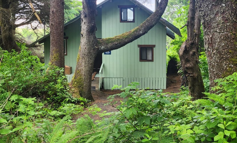 Dog-friendly beachfront cabin with ocean views & private path to beach