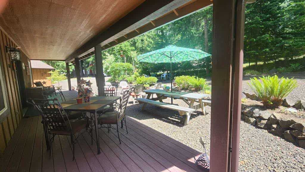 Cozy cabin getaway with firepit, patio, gas grill, and private park access