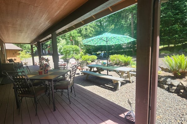 Cozy cabin getaway with firepit, patio, gas grill, and private park access