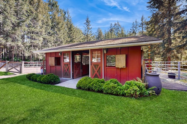 Peaceful Bainbridge Island Studio on Horse Farm with Trail Access