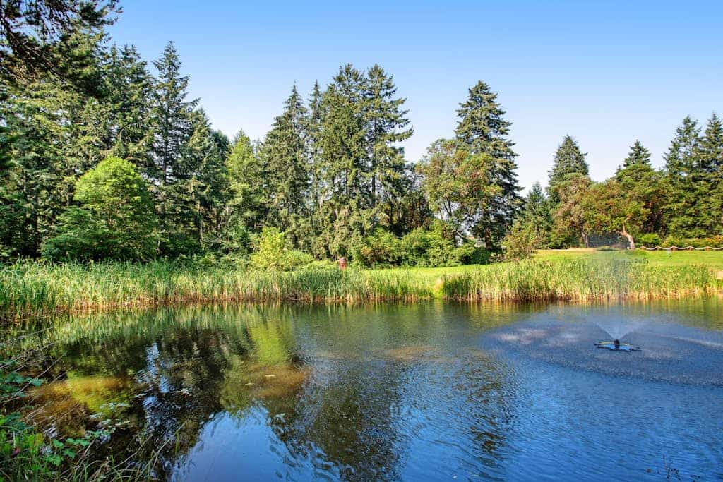 Welcoming cabin with fast WiFi, gas grill, lake views, kids loft & private W/D
