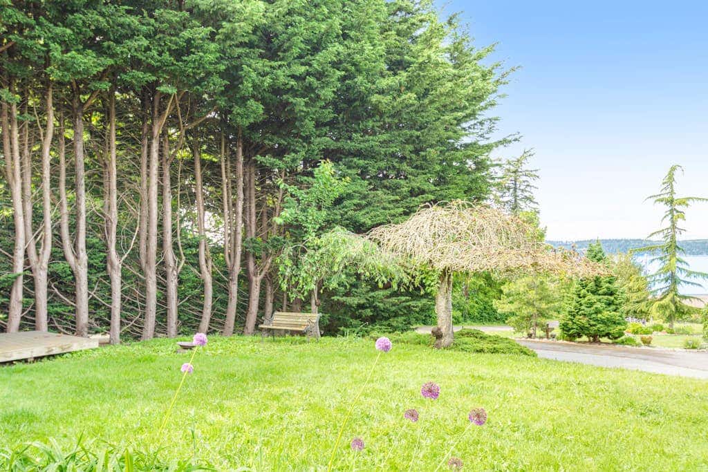 Driftwood Hideaway