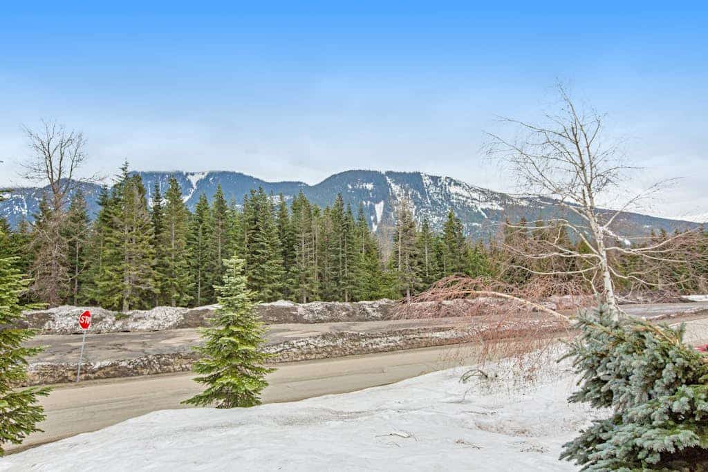 Ski-in/ski-out home with fireplace & 2-car garage - dog-friendly