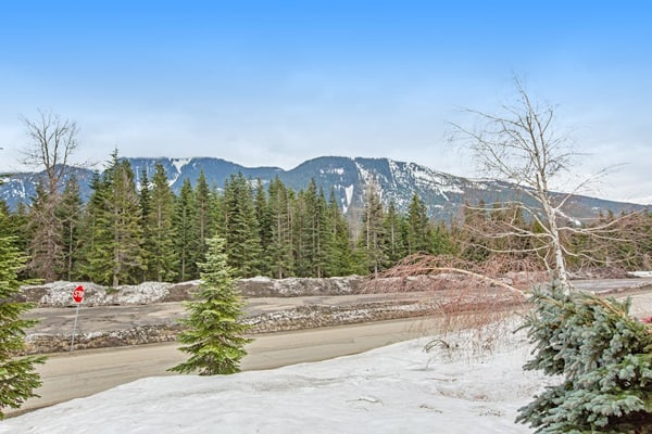 Ski-in/ski-out home with fireplace & 2-car garage - dog-friendly
