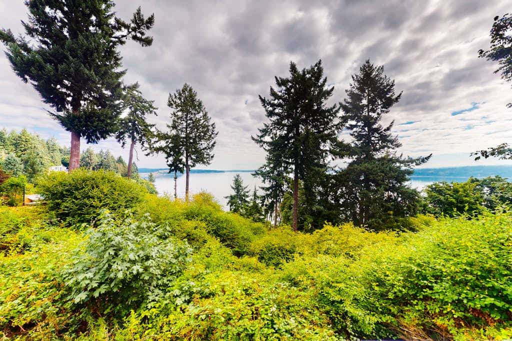 Sound view home full of vintage charm with game room, wood stove, & gas grill