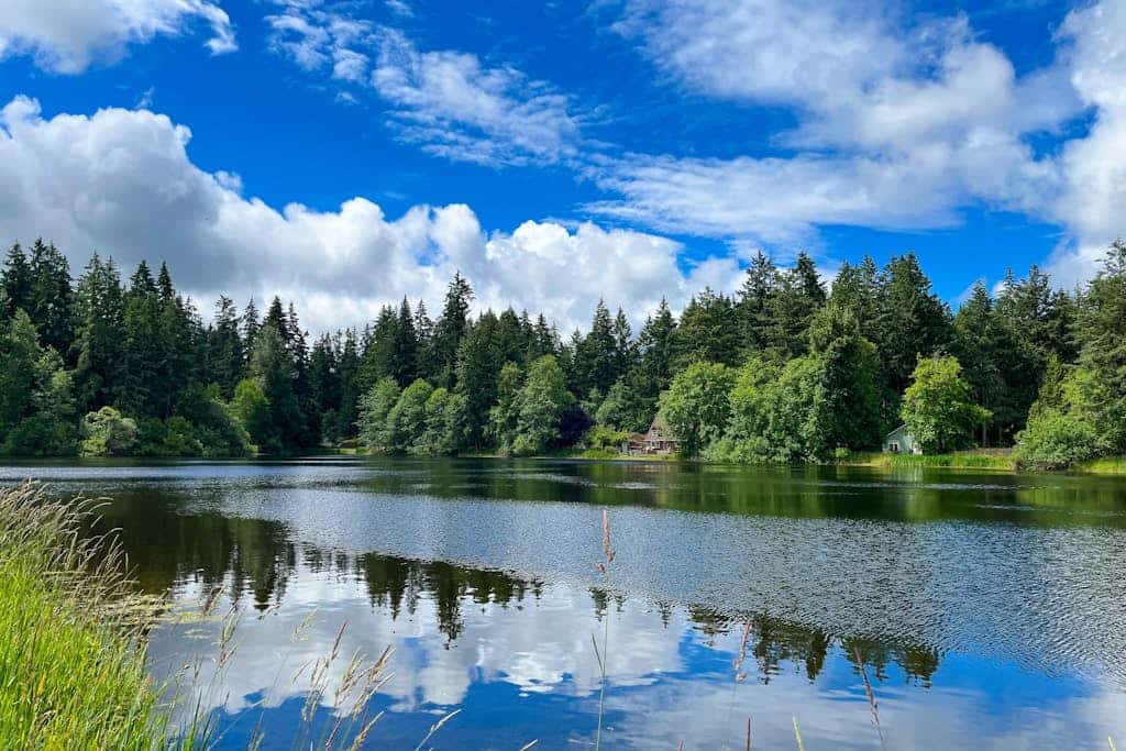 Family-friendly lakefront escape with outdoor dining, gas grill, kayaks and W/D