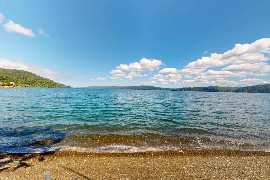 Euphoria on the Fjord