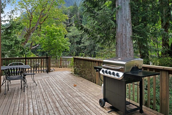 Riverfront cabin with soaring views of mountains & woodstove - dog-friendly