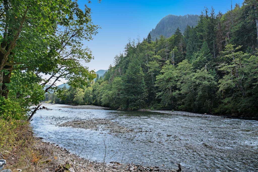 Rustic River Paradise