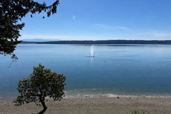 Remodeled waterfront beauty with fast Wifi, sweeping views & beach access