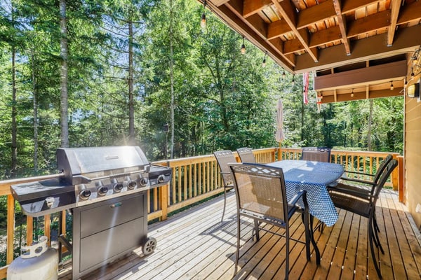 Incredible home with a game room, full kitchen, gas grill, & wood stove