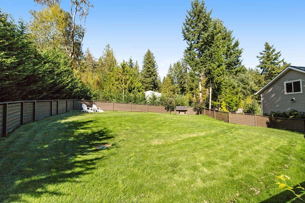 Evergreen Grove