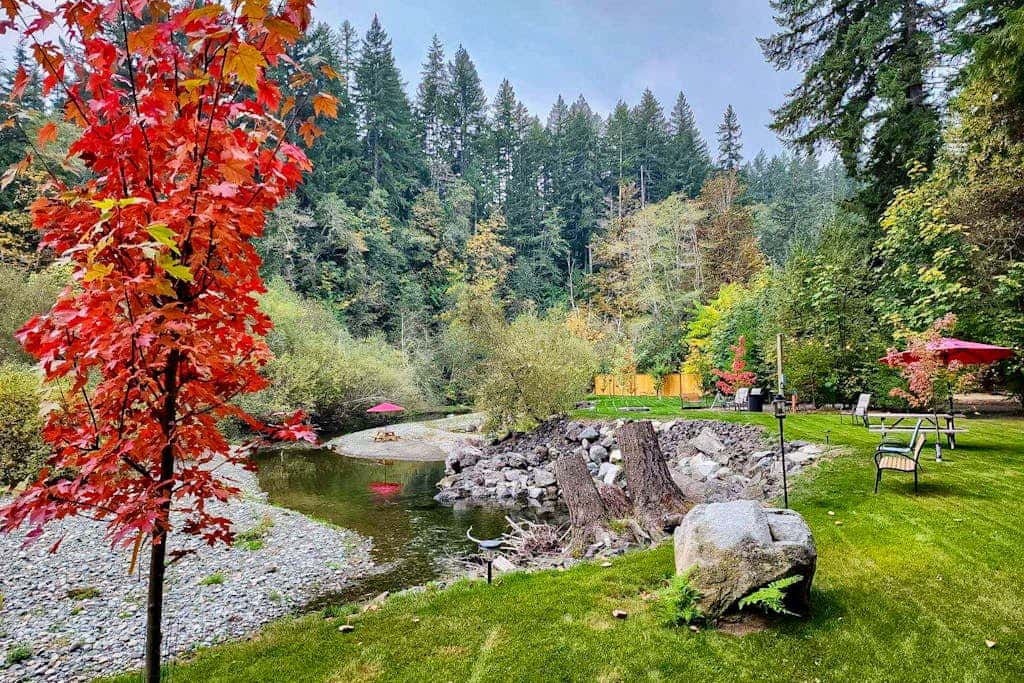 Tahuya River Lodge #1