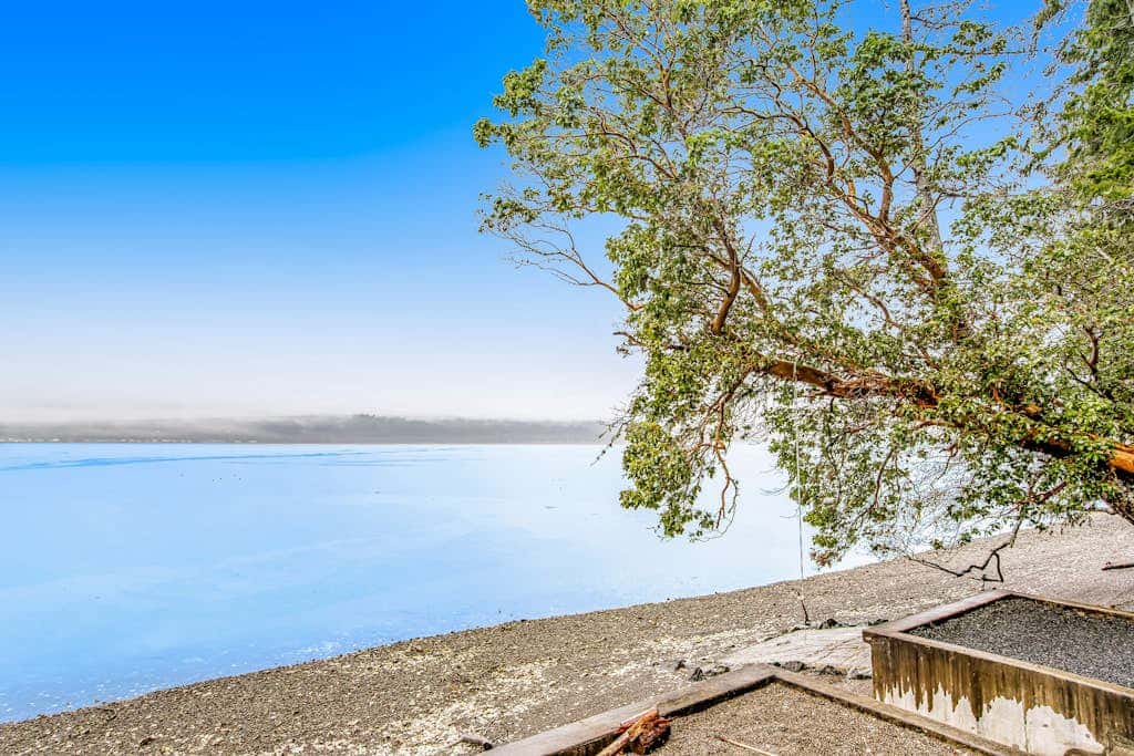 Tahuya Trees and Tides